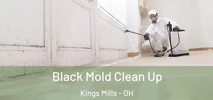 Black Mold Clean Up Kings Mills - OH