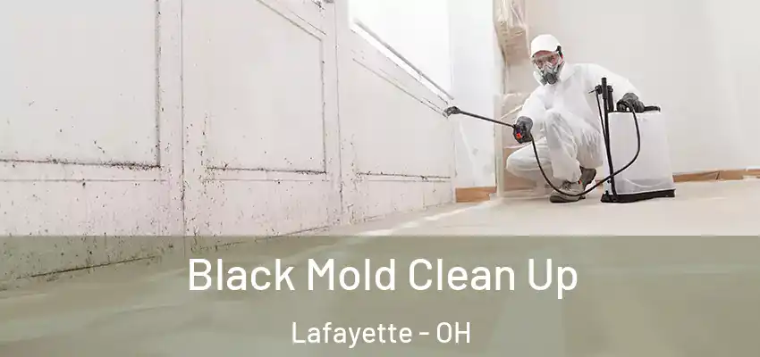  Black Mold Clean Up Lafayette - OH