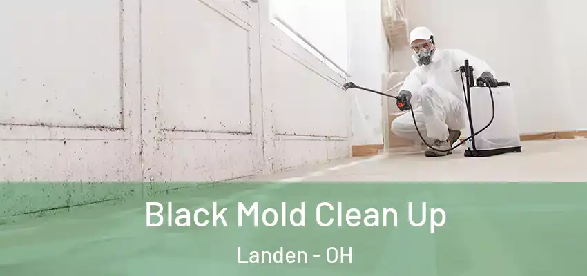  Black Mold Clean Up Landen - OH