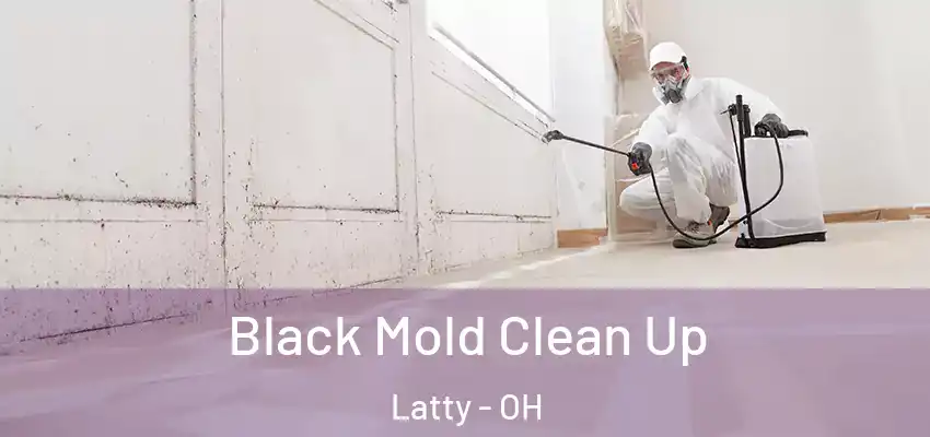 Black Mold Clean Up Latty - OH