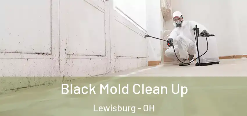  Black Mold Clean Up Lewisburg - OH