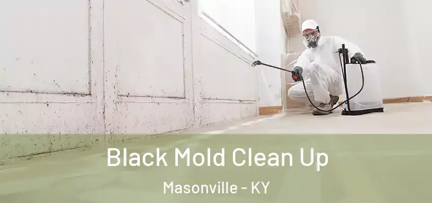  Black Mold Clean Up Masonville - KY