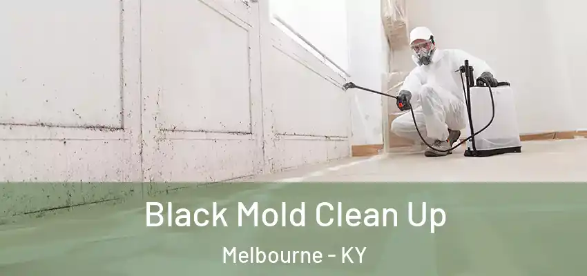 Black Mold Clean Up Melbourne - KY