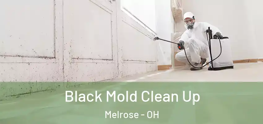 Black Mold Clean Up Melrose - OH