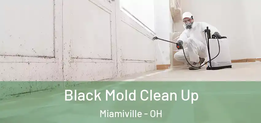 Black Mold Clean Up Miamiville - OH