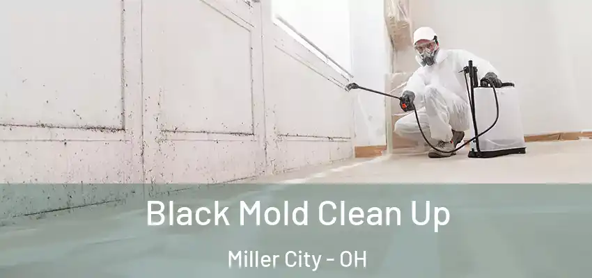  Black Mold Clean Up Miller City - OH