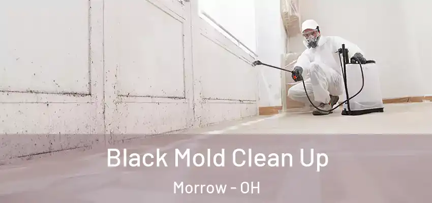  Black Mold Clean Up Morrow - OH