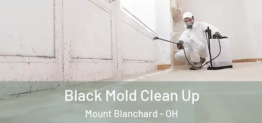  Black Mold Clean Up Mount Blanchard - OH