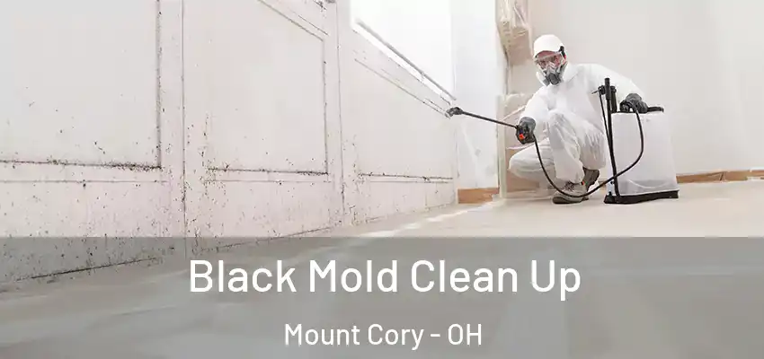  Black Mold Clean Up Mount Cory - OH