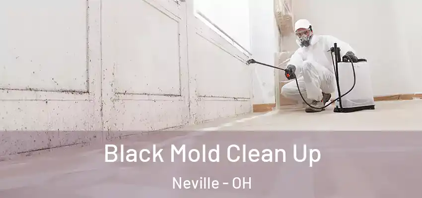  Black Mold Clean Up Neville - OH