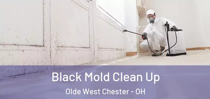 Black Mold Clean Up Olde West Chester - OH