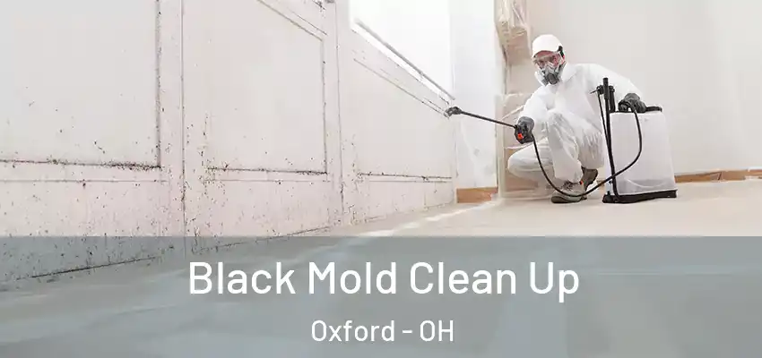 Black Mold Clean Up Oxford - OH