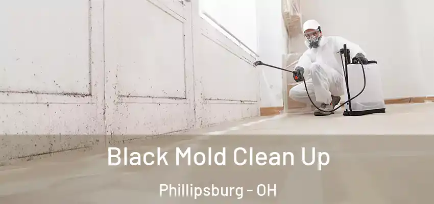 Black Mold Clean Up Phillipsburg - OH