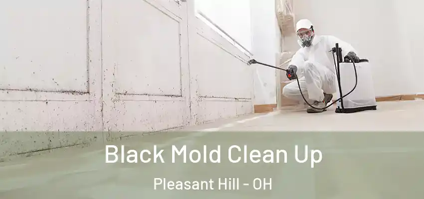  Black Mold Clean Up Pleasant Hill - OH