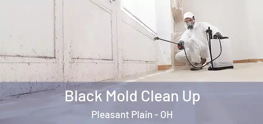  Black Mold Clean Up Pleasant Plain - OH