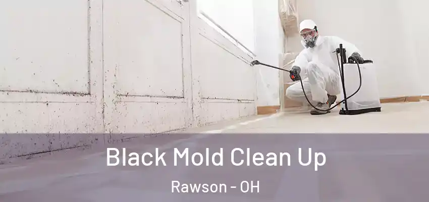  Black Mold Clean Up Rawson - OH