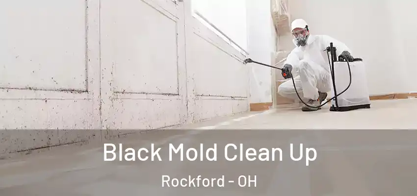 Black Mold Clean Up Rockford - OH