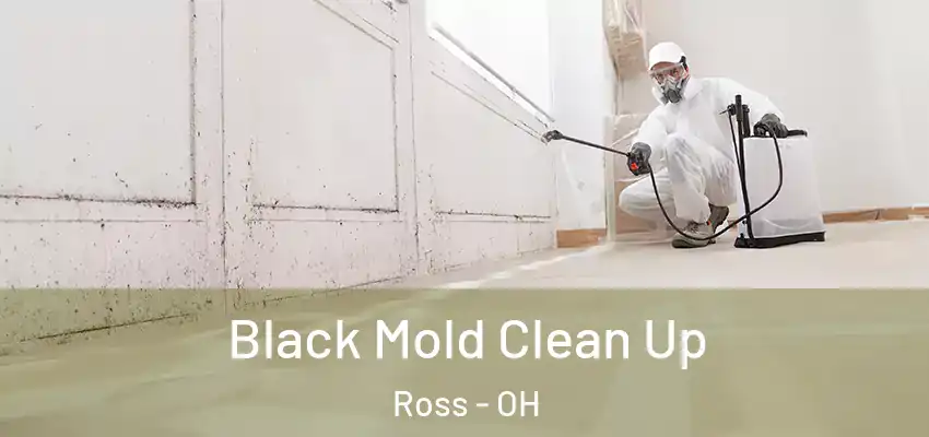 Black Mold Clean Up Ross - OH