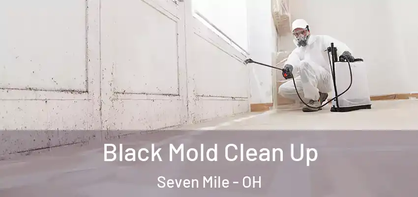  Black Mold Clean Up Seven Mile - OH