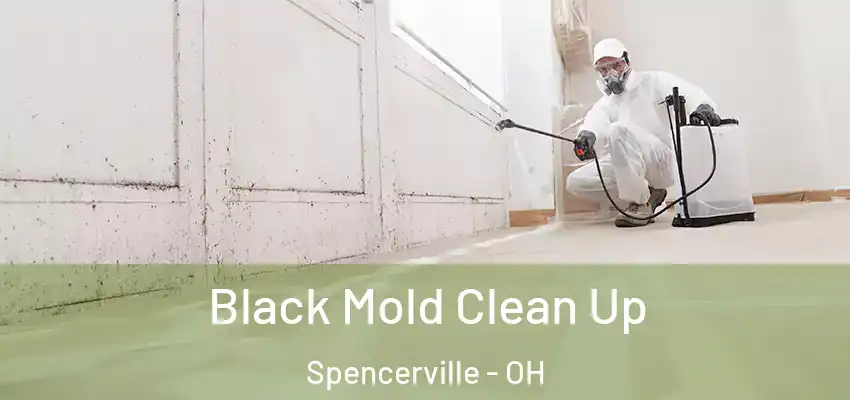  Black Mold Clean Up Spencerville - OH