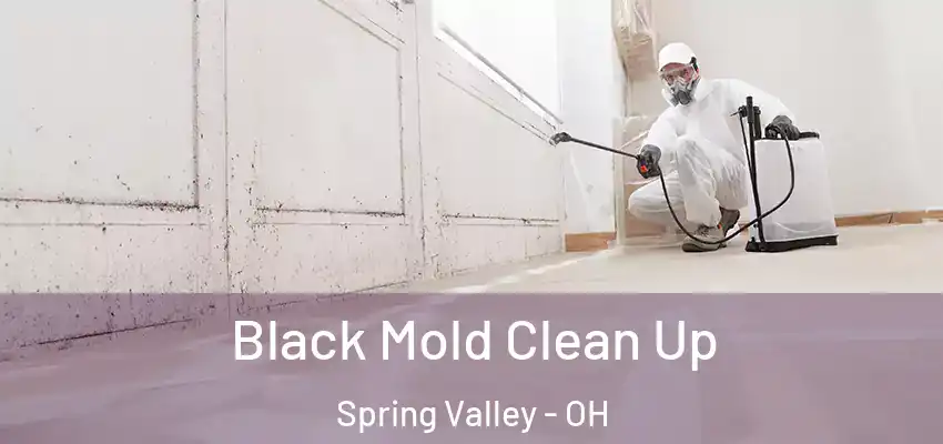  Black Mold Clean Up Spring Valley - OH