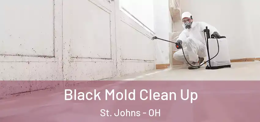 Black Mold Clean Up St. Johns - OH