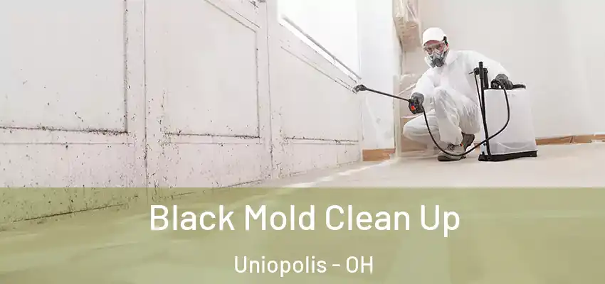  Black Mold Clean Up Uniopolis - OH
