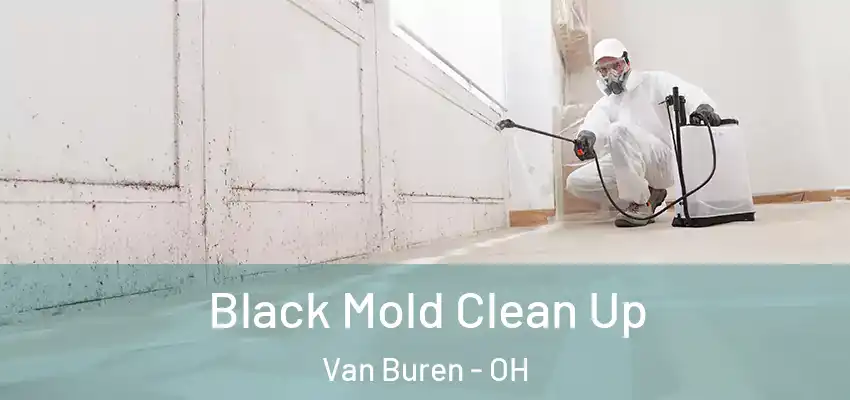  Black Mold Clean Up Van Buren - OH