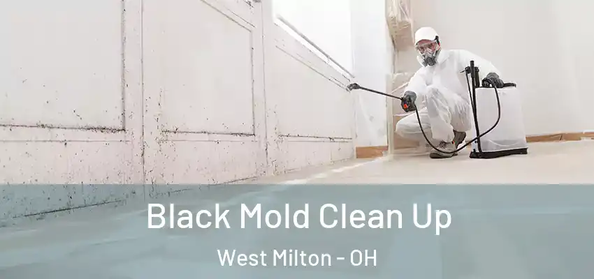  Black Mold Clean Up West Milton - OH
