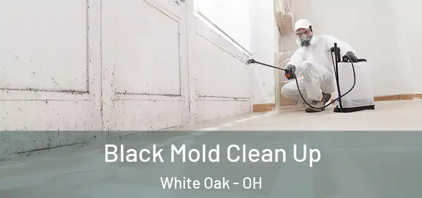  Black Mold Clean Up White Oak - OH