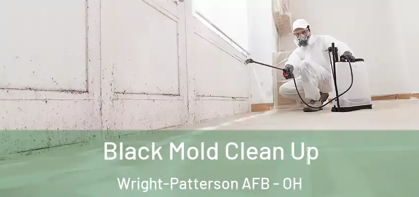  Black Mold Clean Up Wright-Patterson AFB - OH