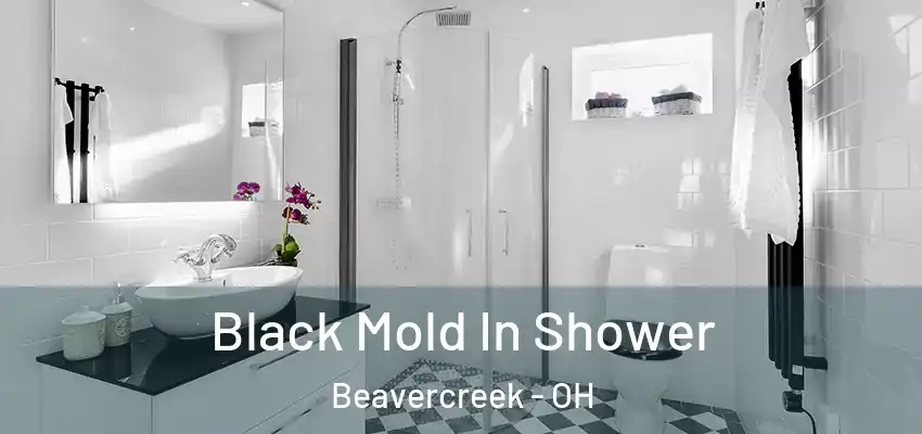 Black Mold In Shower Beavercreek - OH