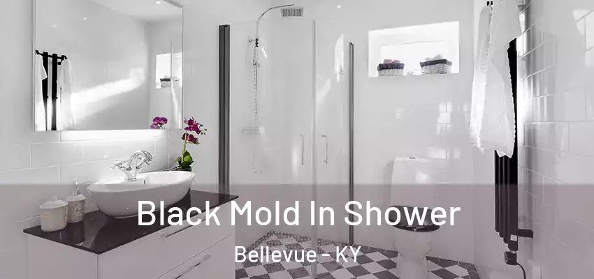  Black Mold In Shower Bellevue - KY