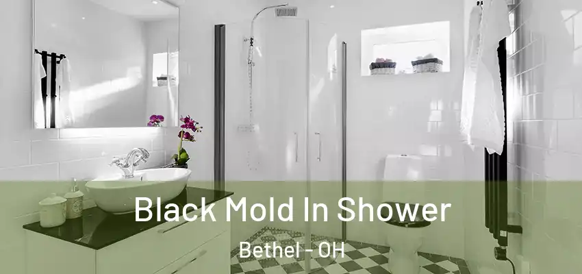  Black Mold In Shower Bethel - OH