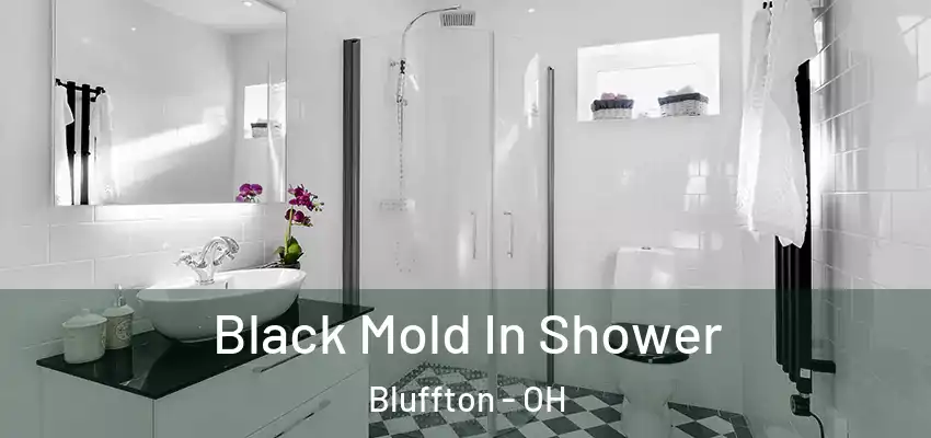  Black Mold In Shower Bluffton - OH