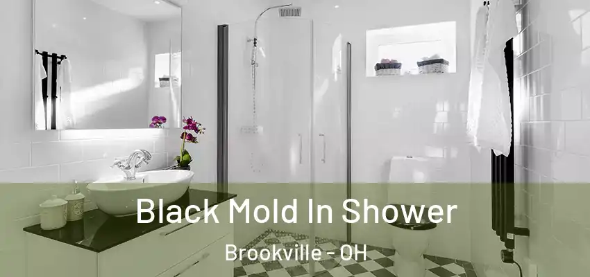  Black Mold In Shower Brookville - OH