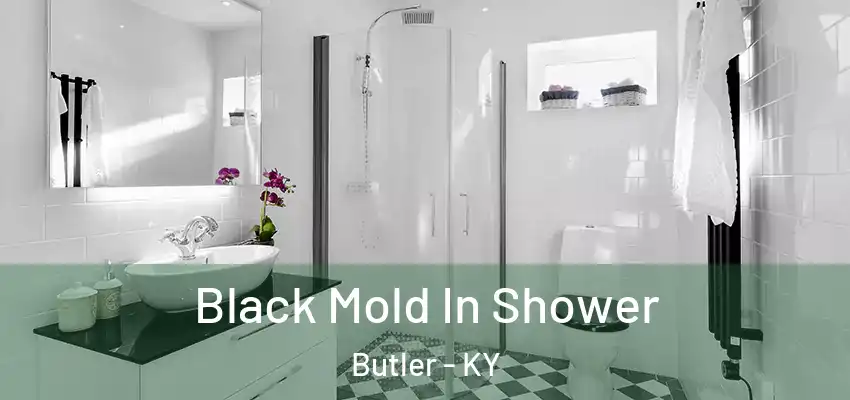  Black Mold In Shower Butler - KY
