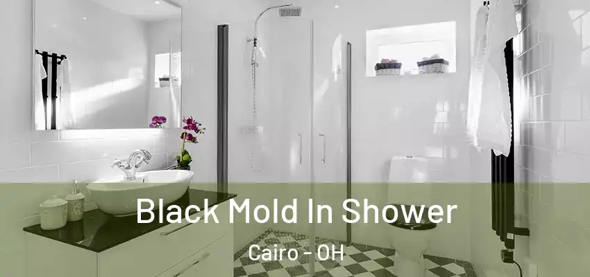  Black Mold In Shower Cairo - OH