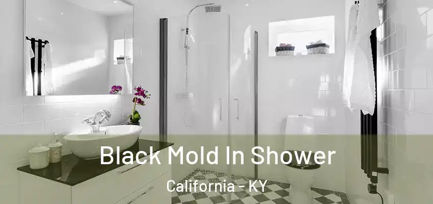 Black Mold In Shower California - KY