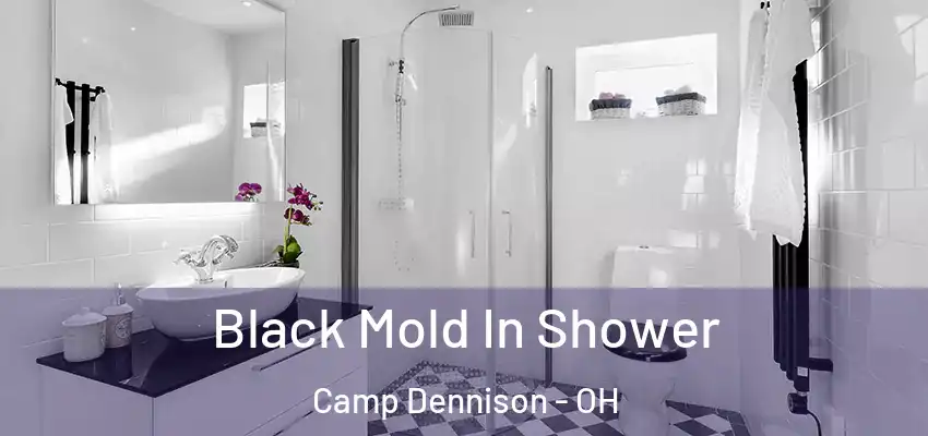 Black Mold In Shower Camp Dennison - OH