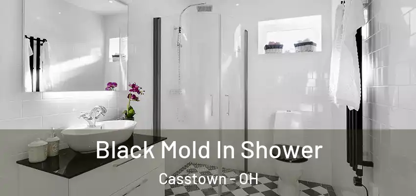  Black Mold In Shower Casstown - OH