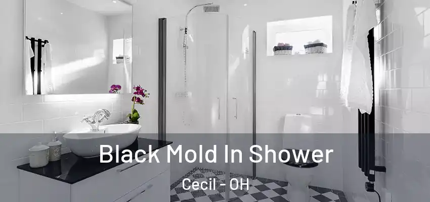  Black Mold In Shower Cecil - OH