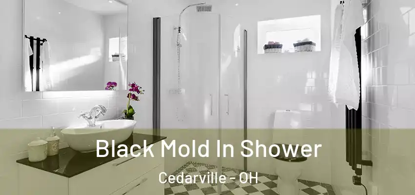  Black Mold In Shower Cedarville - OH