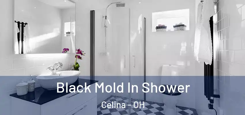  Black Mold In Shower Celina - OH