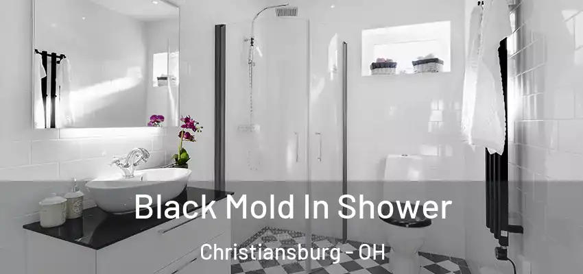  Black Mold In Shower Christiansburg - OH