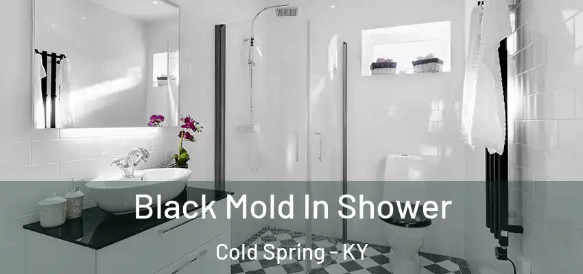  Black Mold In Shower Cold Spring - KY