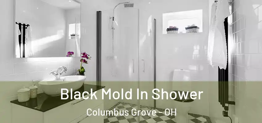 Black Mold In Shower Columbus Grove - OH