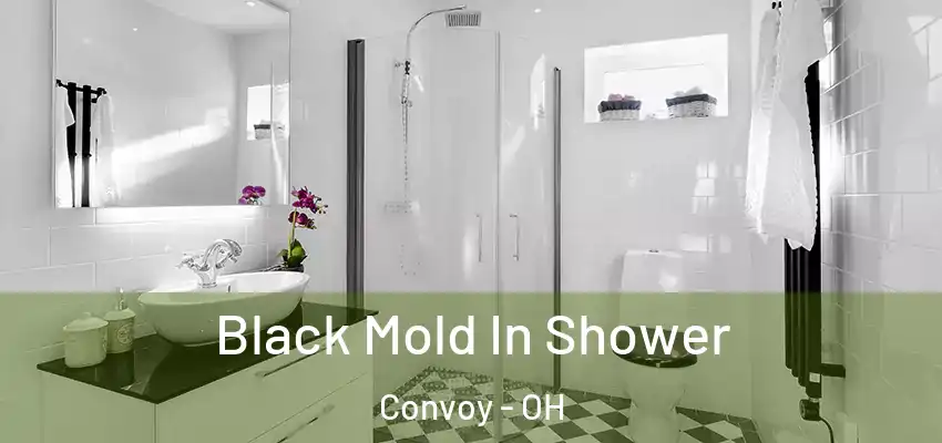  Black Mold In Shower Convoy - OH