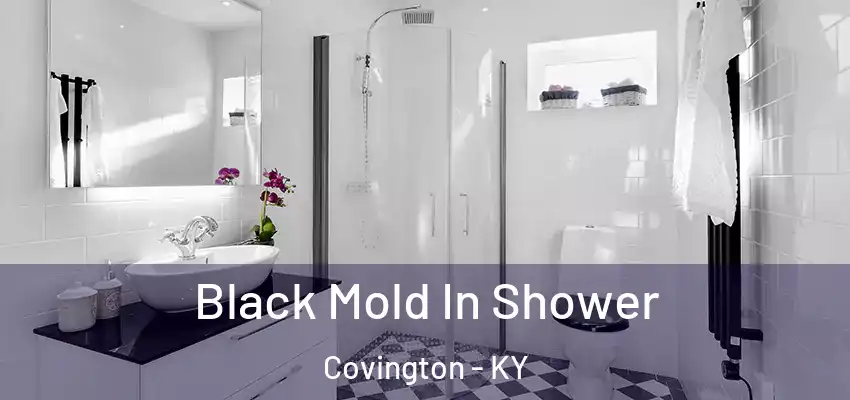  Black Mold In Shower Covington - KY