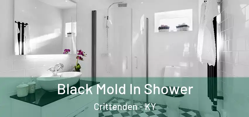  Black Mold In Shower Crittenden - KY